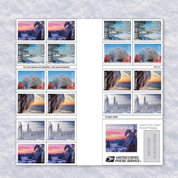 2025 Winter Landscapes