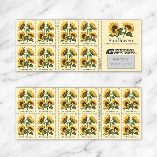 2026 Sunflowers