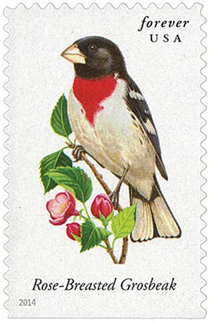 2014 Songbirds