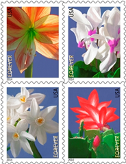 2014 Winter Flowers