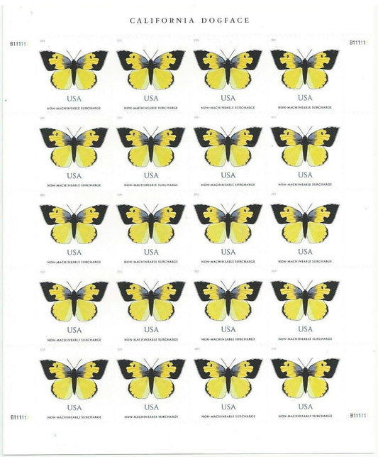 2019 US California Dogface Butterfly