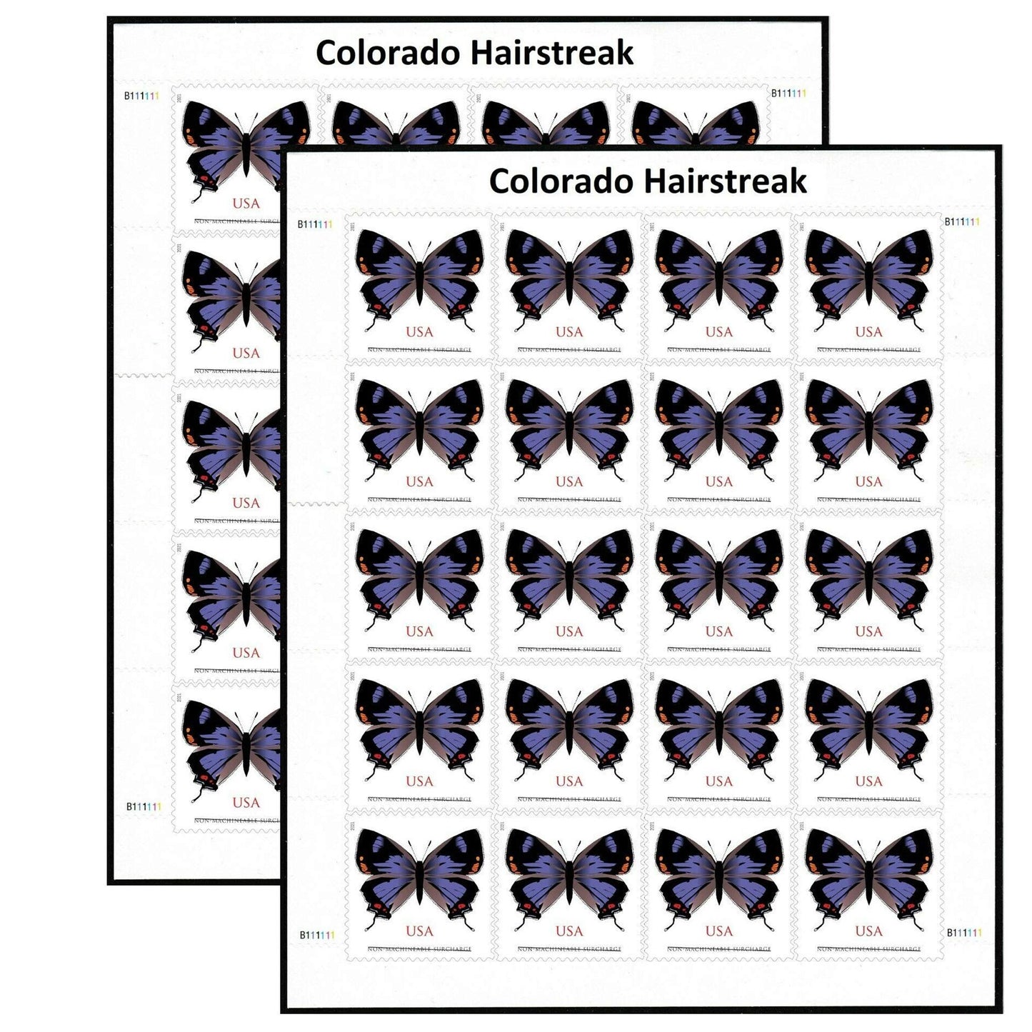 2021 Colorado Hairstreak