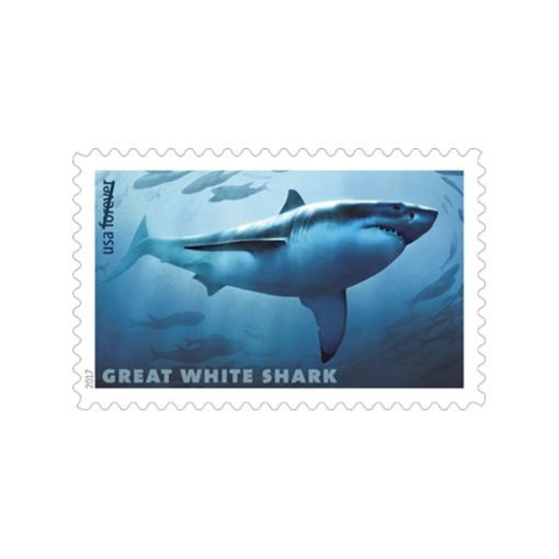 FIRST CALSS SHARKS (2017)