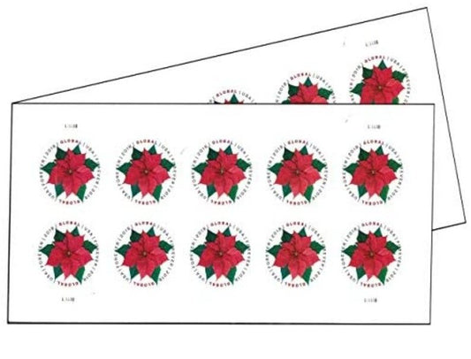 2018 Global Poinsettia International
