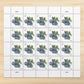 2022 Blueberries