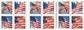 U.S. Flags 2024