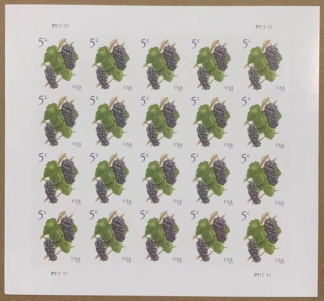 2016 Grapes