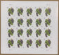 2016 Grapes