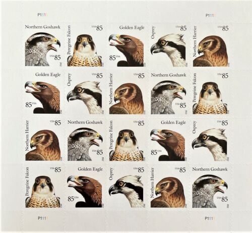 2012 Eagle