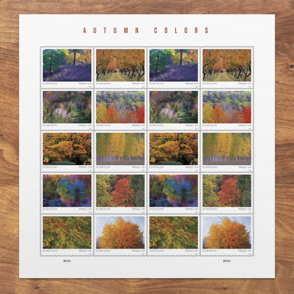 2024 Autumn Colors