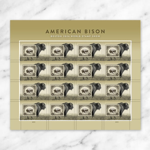 2026 American Bison