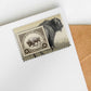 2026 American Bison