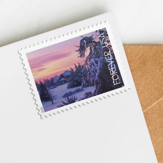 2025 Winter Landscapes