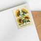 2026 Sunflowers