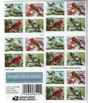2016 Songbirds in Snow