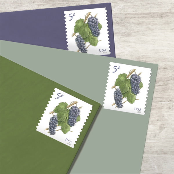 2016 Grapes