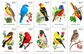 2014 Songbirds