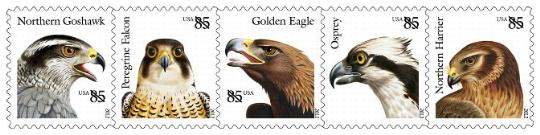 2012 Eagle