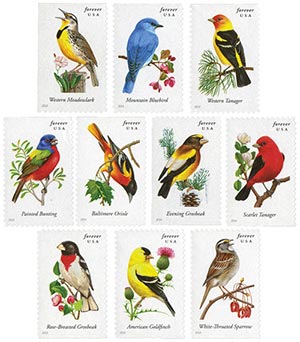 2014 Songbirds