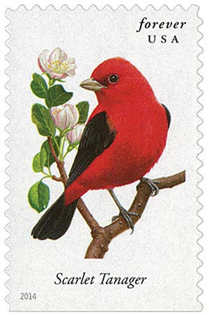 2014 Songbirds