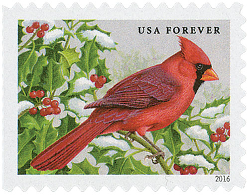2016 Songbirds in Snow