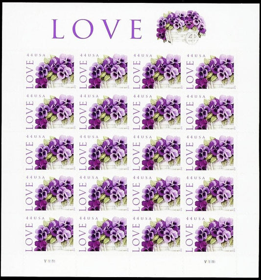 2010 Purple Flower