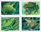 Frogs (2019)