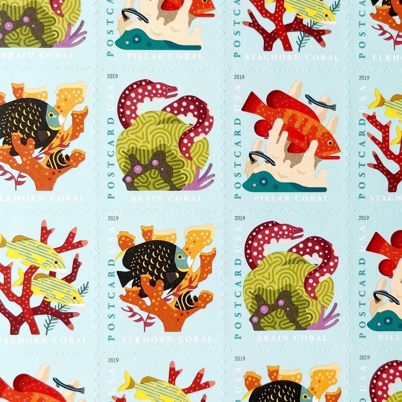 Coral Reefs Postcard 2019